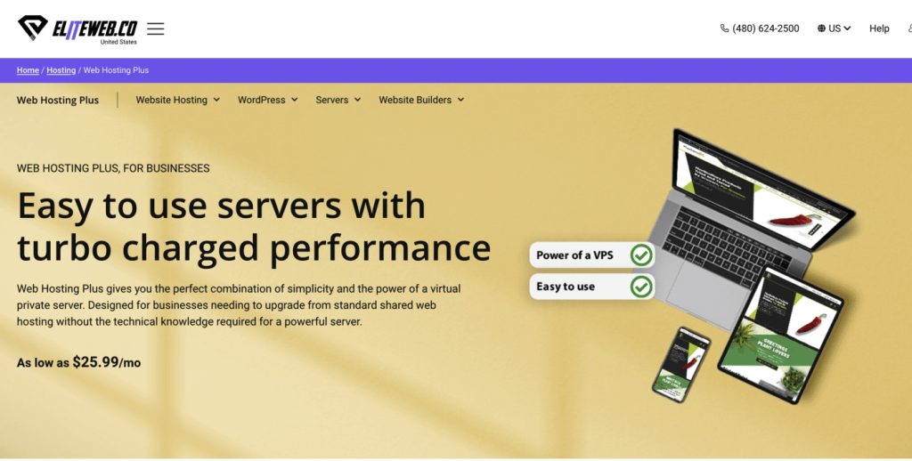web hosting plus